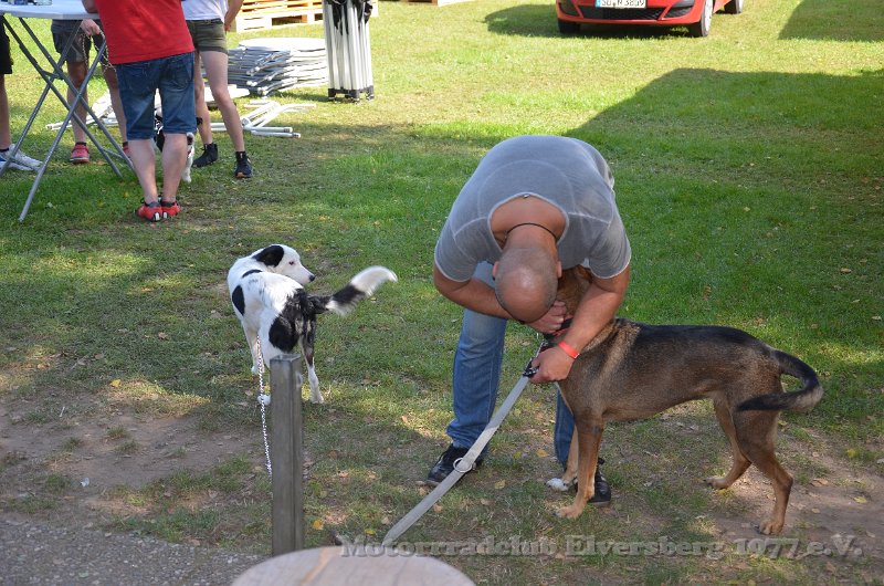 Treffen 2021 - 194